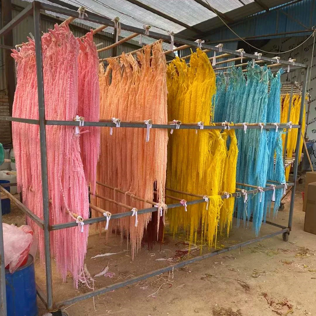 2024 Hot Seller White Hanging Amaranthus Flower Preserved Amaranth for Wedding/home/event Decoration