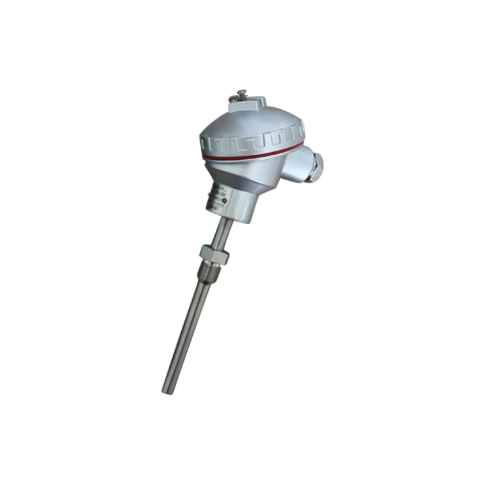 Hot Sale Nice Quality Insulated armored temperature sensor Thermocouple Thermal resistance