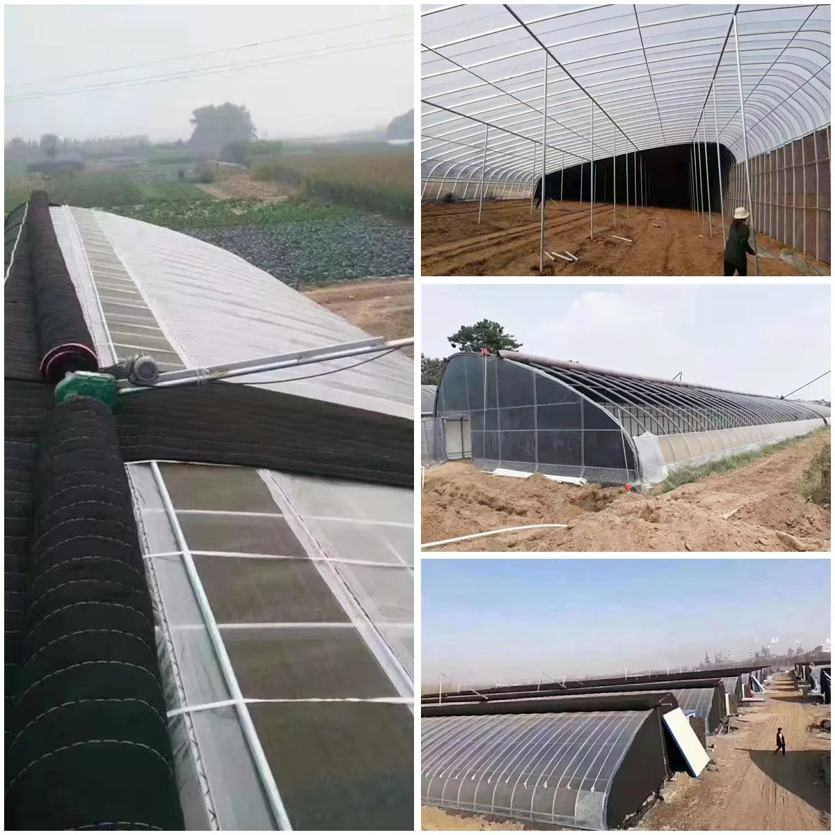 Passive Solar Greenhouse Tunnel Greenhouses Single Span Green House with Quilt for Cold Area for UZ/KZ/TJR/Russia for Hydroponic
