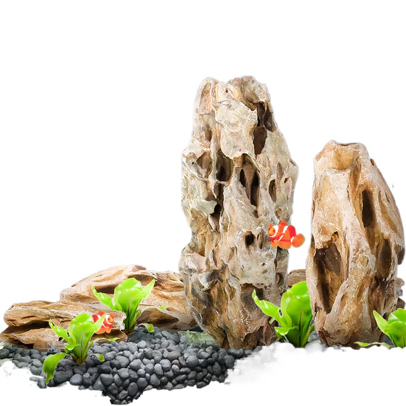 shiqu natural river wash pine skin fish landscape rockery bonsai stone water and land grass tank tiger ski