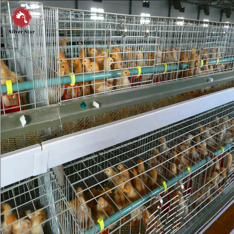 Automatic nipple drinker chicken broiler cage broiler battery cage for growing baby chicks
