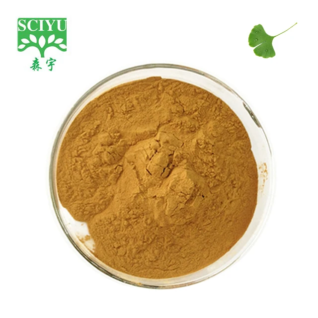 Ginkgo Biloba Extract Powder with 24% flavone