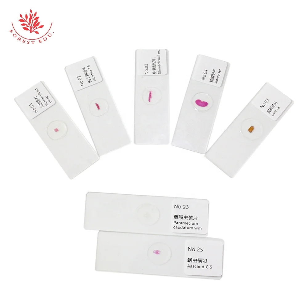 25 Pieces Zoology Microscope Slides Prepared Slides Set Zoology Histology Microbiology Microscope Slides