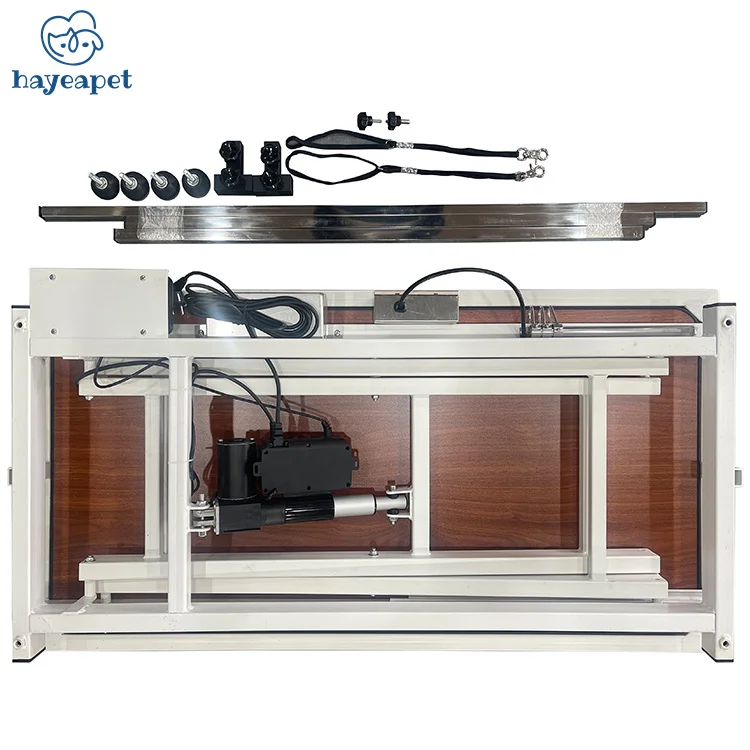 Low-Low dog grooming equipment  non slip rubber power quiet low low Electric lifting pet grooming table With socket