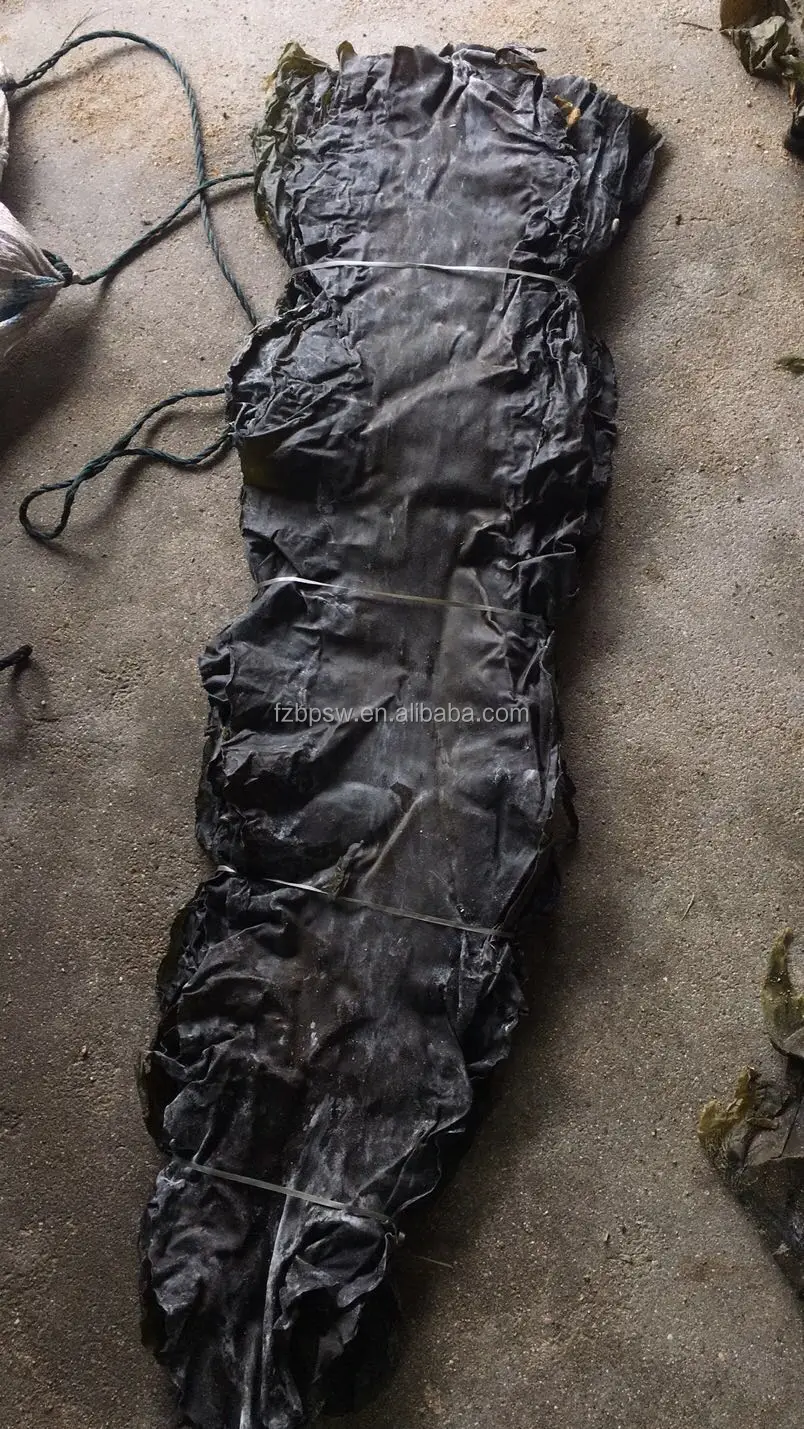 Factory Competitive Price Direct Sales  Dried Kelp/Kombu Sheet Seaweed