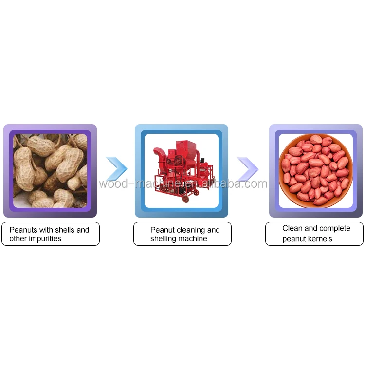 peeling peanuts sheller process automatic peanut shelling machine reliable price