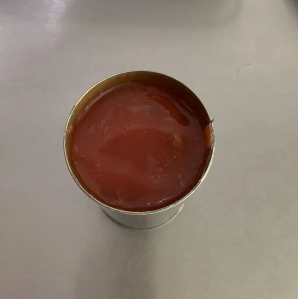 
Canned Sardine in tomato sauce/oil/brine 125G 155G and 425G canned fish 