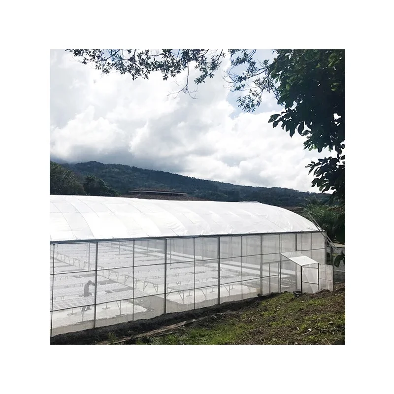 Low cost NFT hydroponics system for vegetable vertical hydroponic growing in greenhouse PVC pipe aquaponic system