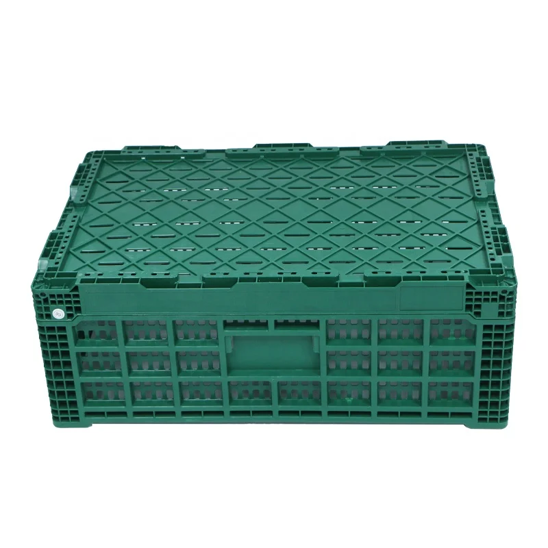 Agricultural harvesting using PP stackable space saving Ventilated Folding Plastic Box / crate for leafy produce / tomatoes