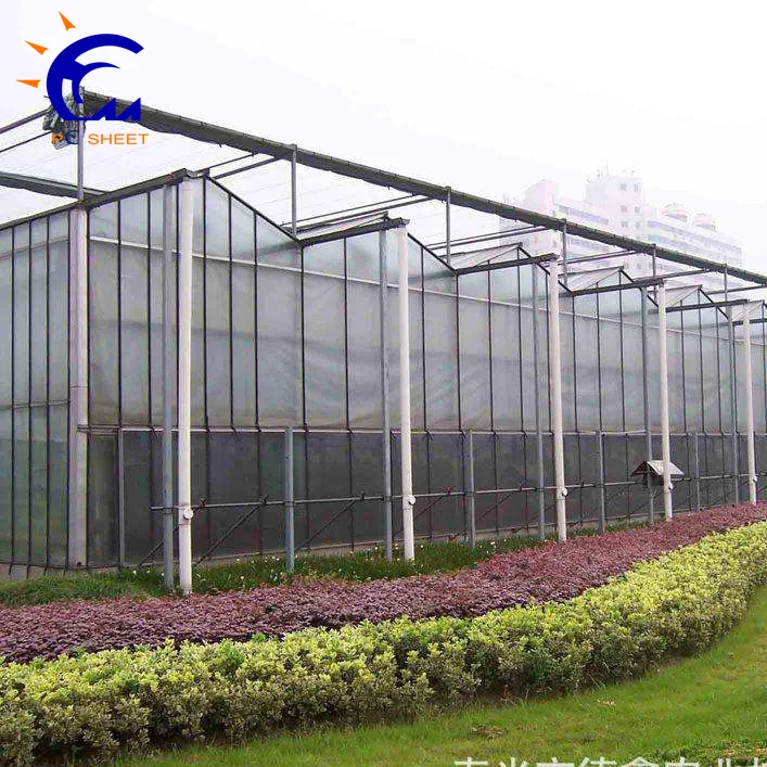 Коммерческая сельскохозяйственная теплица из поликарбоната по низкой цене