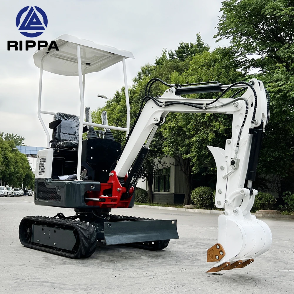 Miniexcavadoras 1 Tonelada Mini ExcavadoraCchina Prezzo