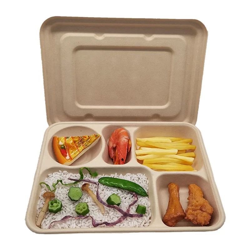 Kingwin Disposable Food Tray With 5 Compartments Compostable 5 Compartment Bagasse Plate White