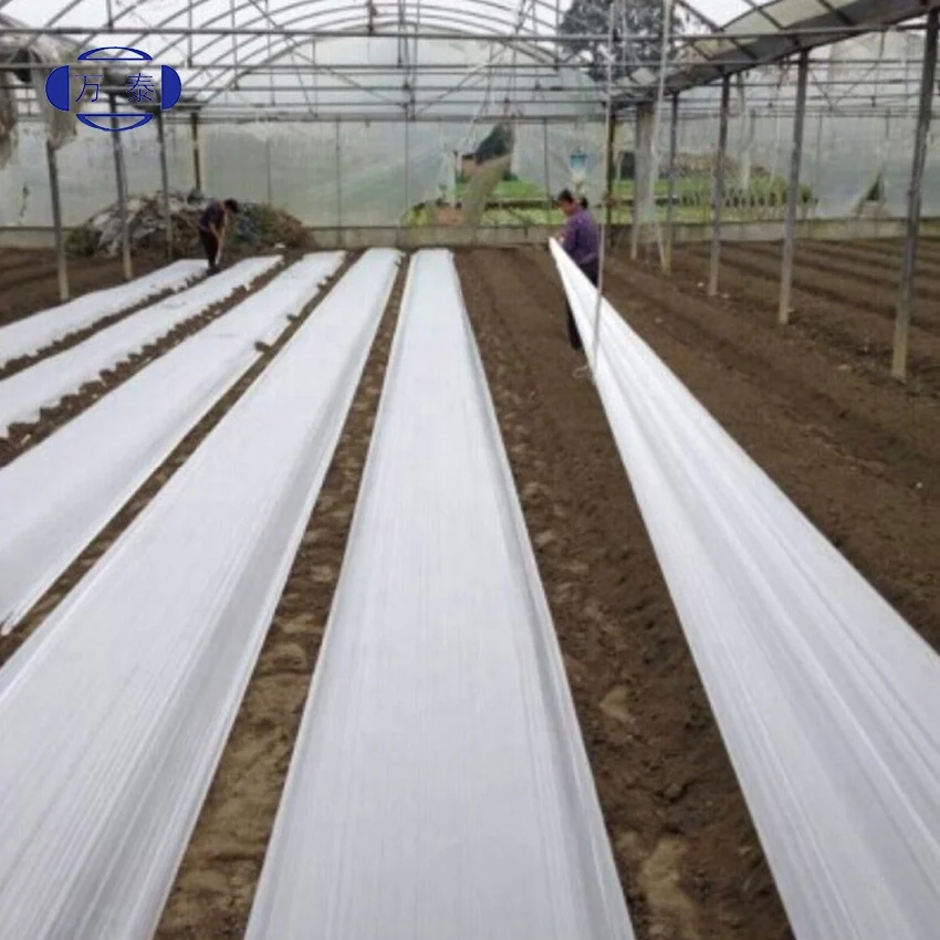 Waterproof Light-blocking virgin LDPE Black and White film for Grow Room, Greenhouse, Silage