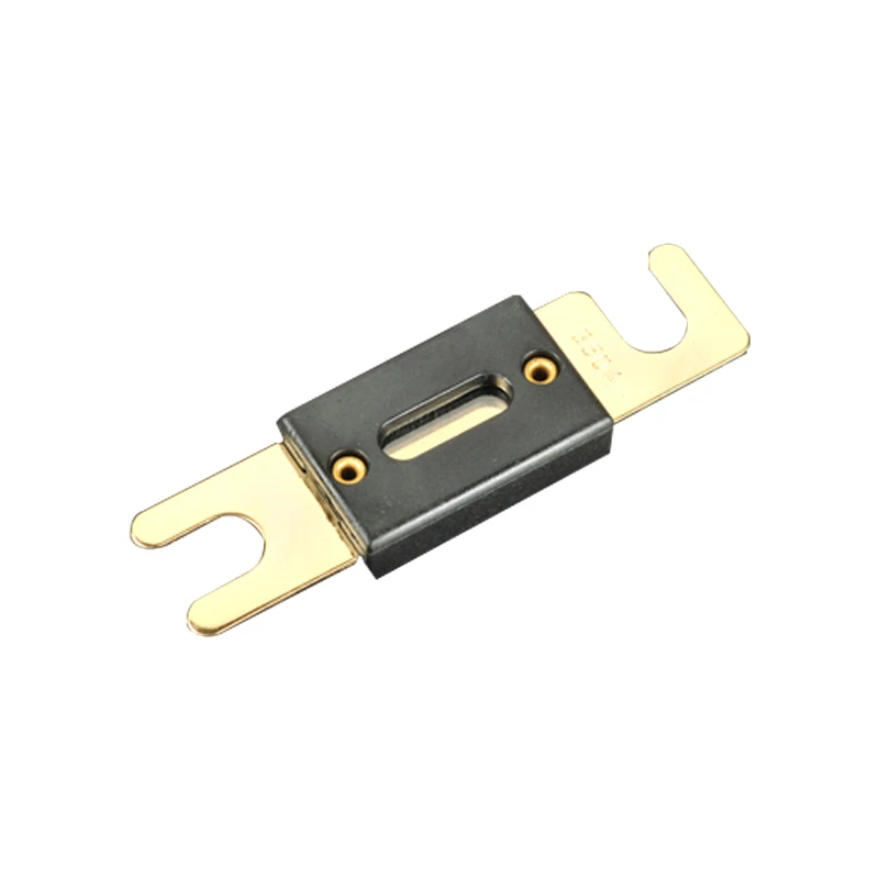 ANL 60 Amp 80Amp 100 200Amp 250Amp 300Amp посеребренный/позолоченный автоматический