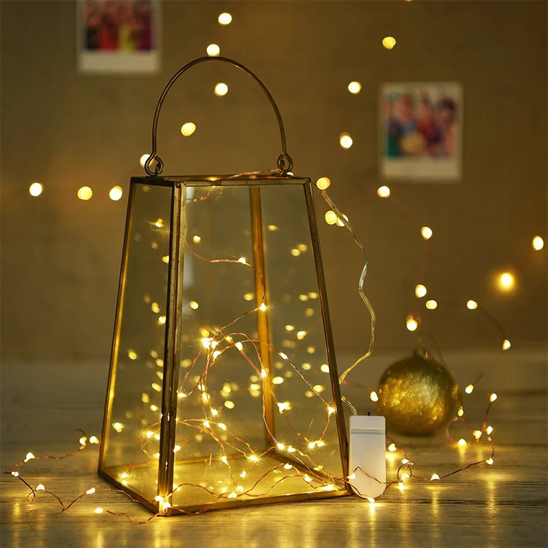  CR2032 Button Battery Box Copper Wire Bedroom Wedding Party Flexible Firefly Starry Christmas