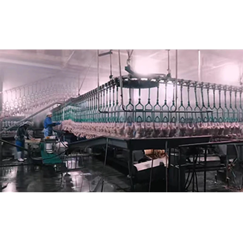 Chicken and Duck Scalding Plucking Machine for Poultry Abattoir Equipment Tattoo Grips for Slaughterhouse Line