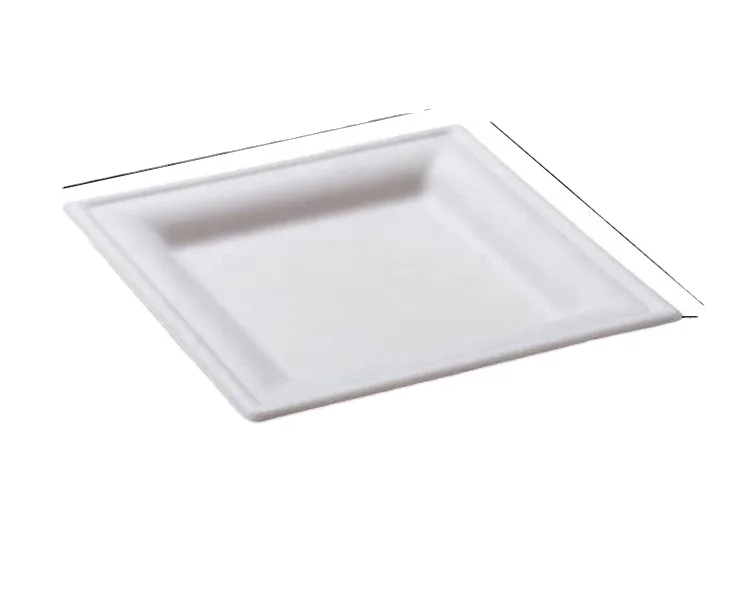 Best Seller 6 Inch Sugarcane Bagasse Square Plate