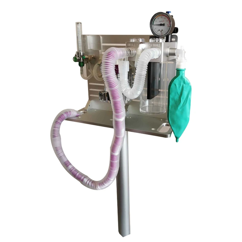 
Small Animal Anesthesia Machine with Isoflurane Vaporizer 