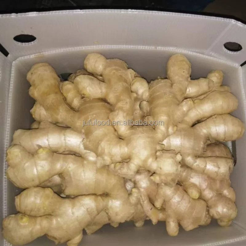 ginger in carton ginger for sale