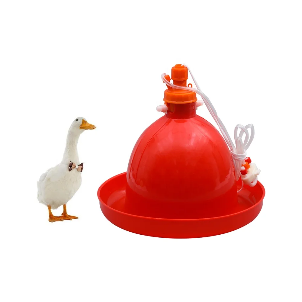 Factory Supply Plastic Automatic Economy Water Abreuvoir automatiques pour Poulet For Livestock Breeding