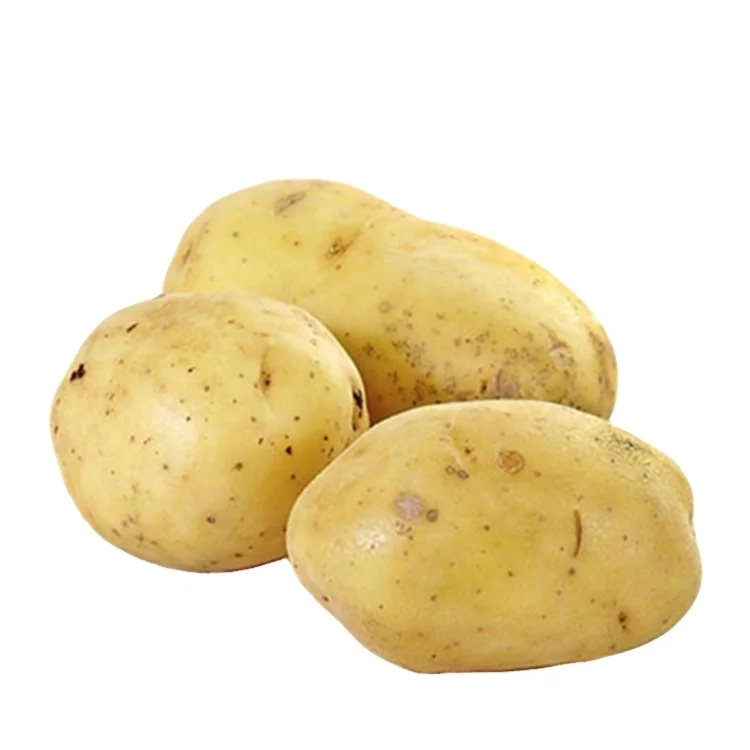 China Exports Wholesale Fresh Potatoes Exporters Fresh  Safe And Healthy Potatoes