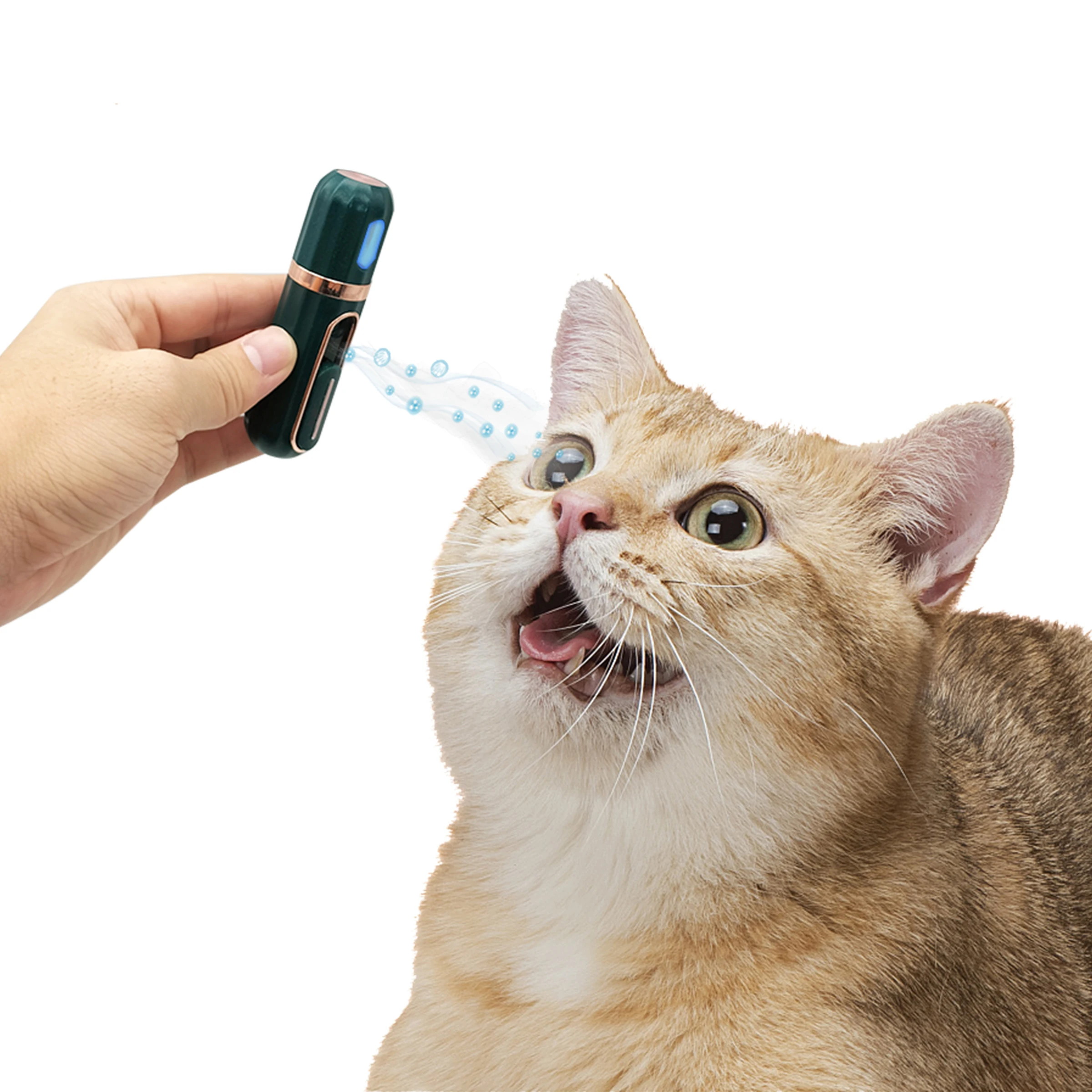 2023 Family Veterinary Clinic Hand held Medical Pet eyes Nebulizer First Supplier
