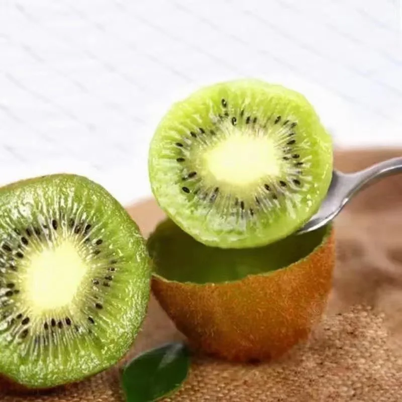 Wholesale price export chinese fresh kiwi fruit