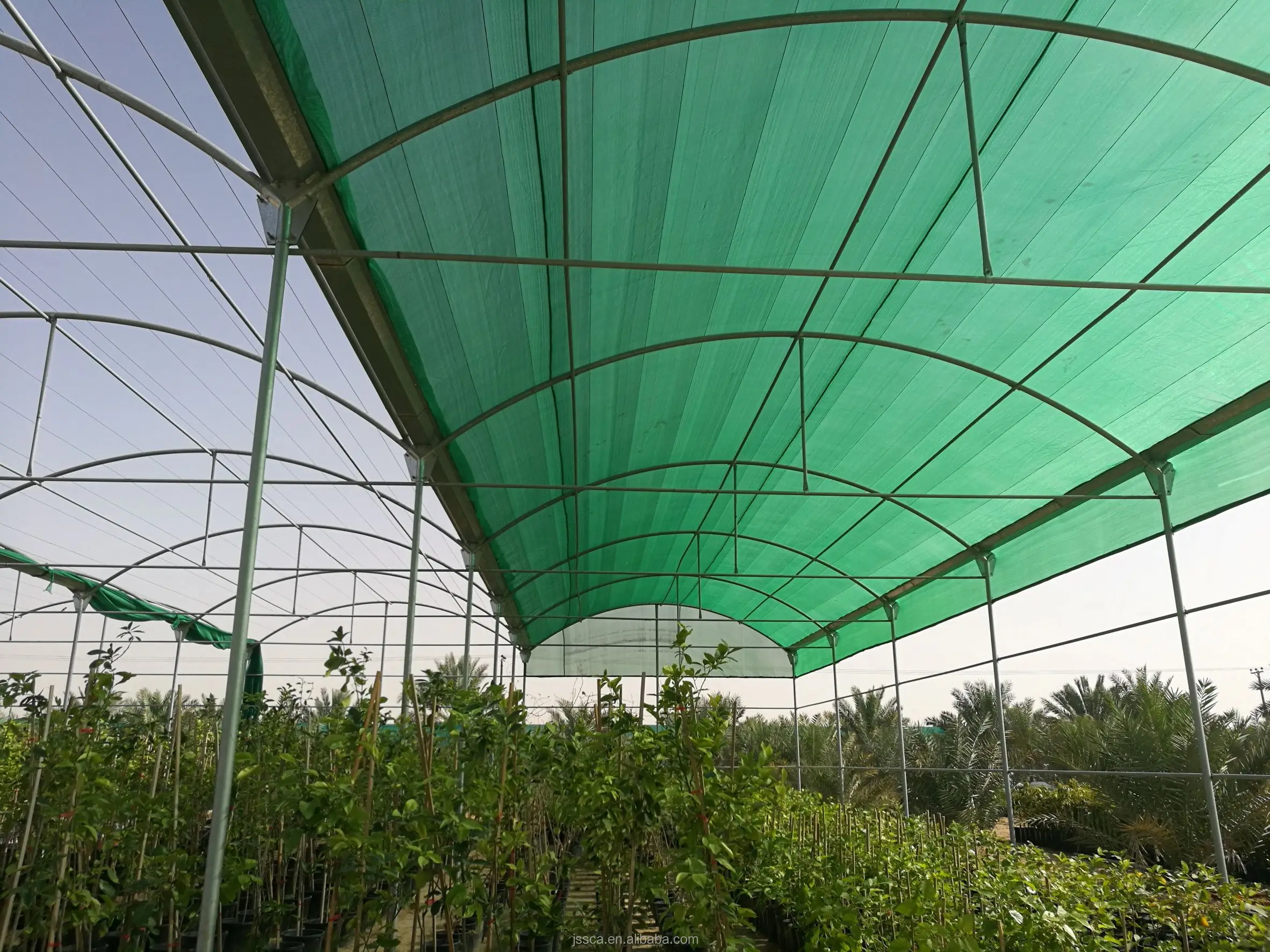 Sun Protection Plastic HDEP Green Shade Net For Agricultural