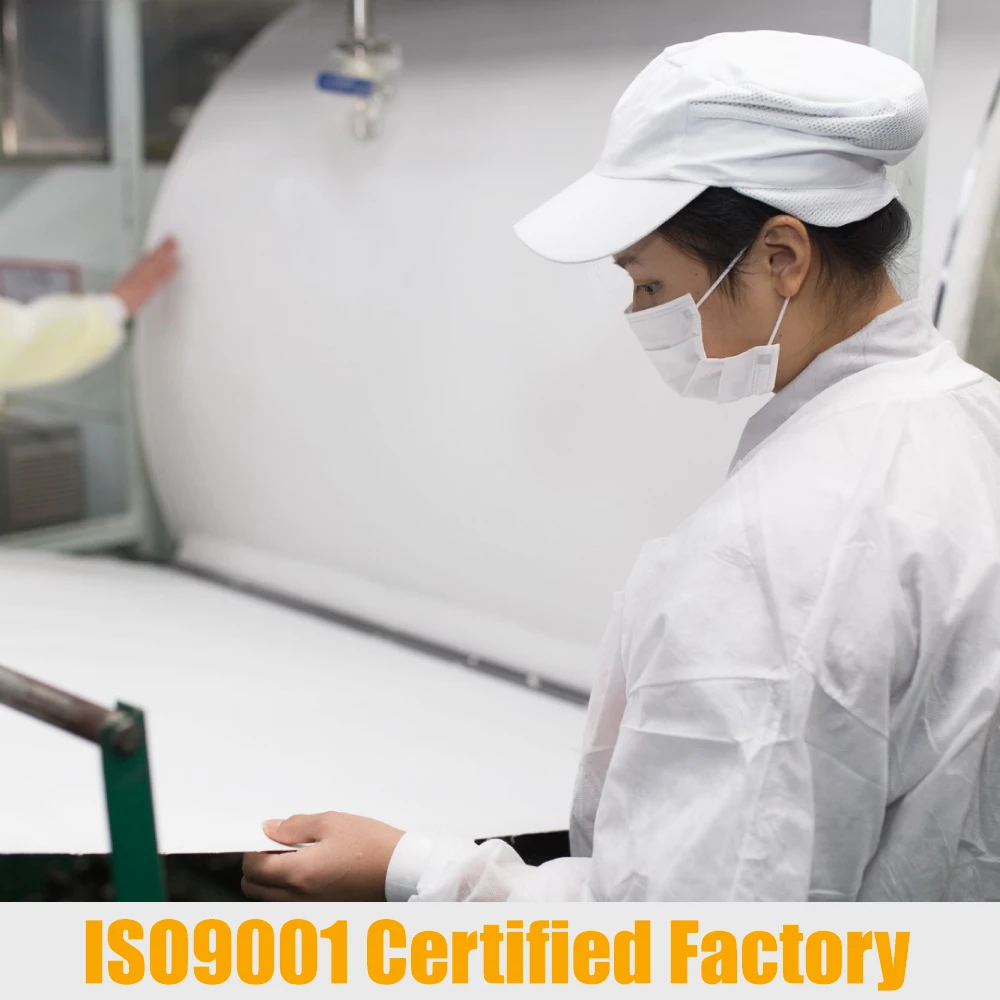 Laundry Detergent Pacs Eco Detergent in Tablet Form Biodegradable Laundry Detergent Sheets