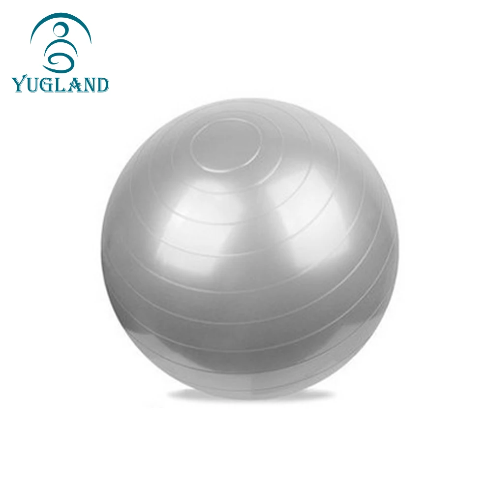  Exercise Balls Yoga Ball Fitness Equipment No Slip 55cm pvc yoga