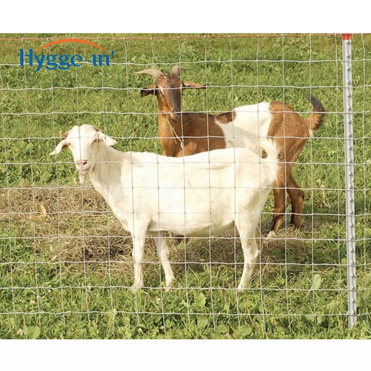 Prices For Slatts Proof Woven Netting Grassland Farm Cattle Goat Sheep Farm Field Deer Wire Mesh Fence Galvanized