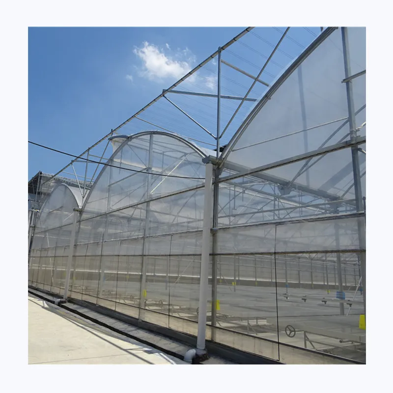 Недорогая сельскохозяйственная теплица полиэтиленовая пленка купольная промышленная