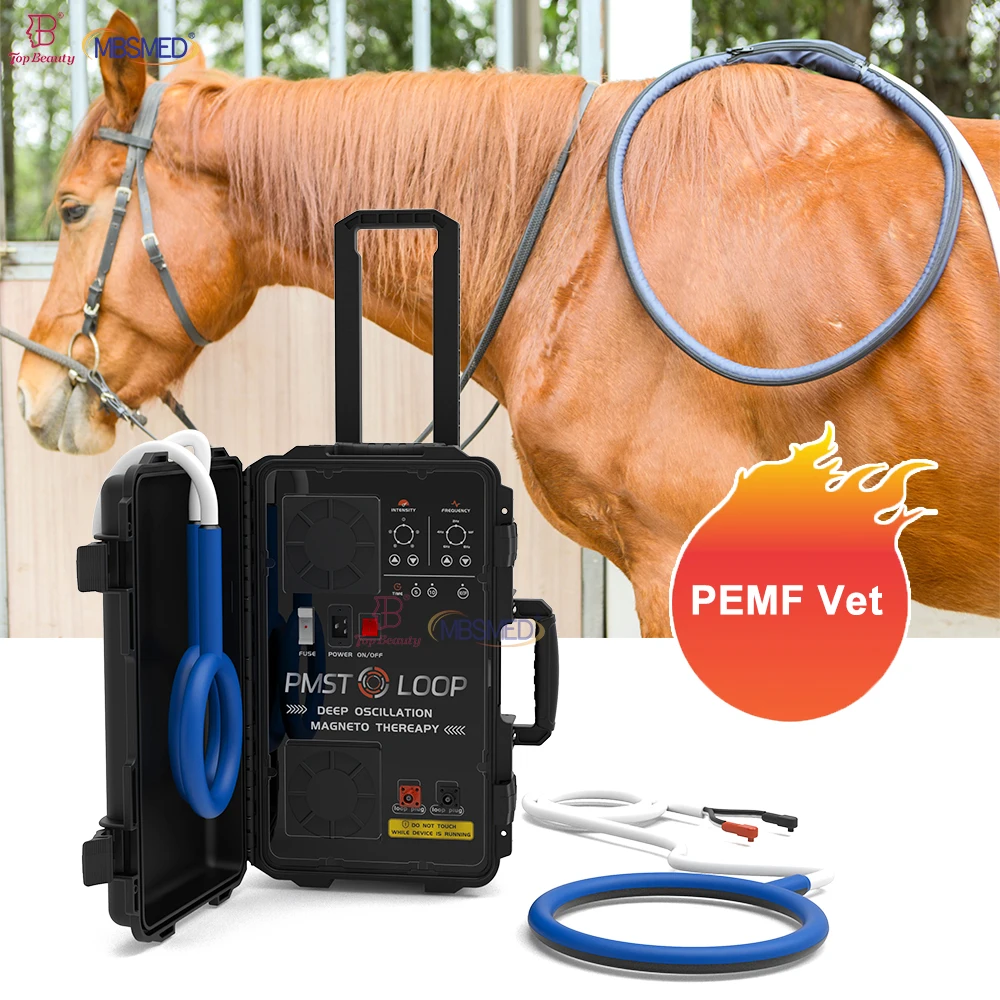 No. 1 Choice Pet Health Care For Veterinary Clinic Horse Therapy Pemf Magnetotherapy Machine