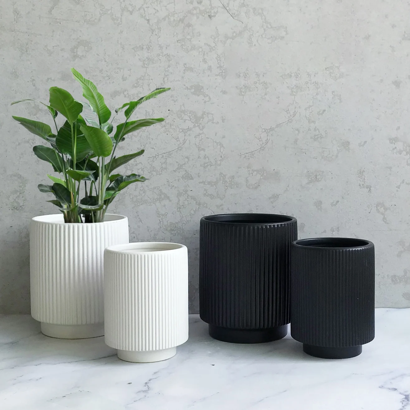 Горшки для растений, домашние украшения для балкона, горшки для суккулентов, черные, белые керамические цветочные горшки с тиснением под заказ для сада