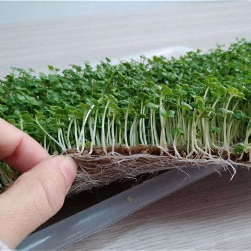 High quality jute mat Eco Friendly Biodegradable Nonwoven Jute Felt Fabric Roll for growing