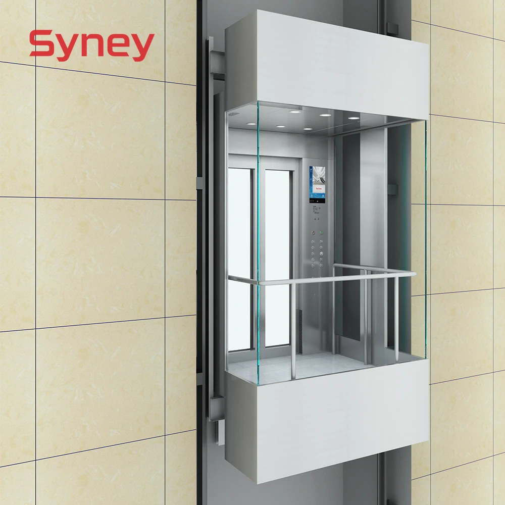 Syney Various Shape Stable Function Competitive Price Residential Panoramic Elevator