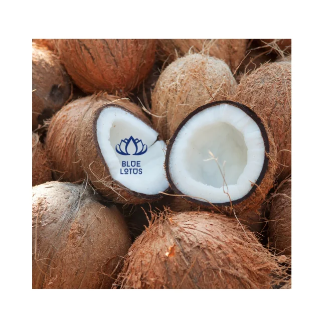 MATURED COCONUT/ SEMI HUSKED COCONUT/ HUSKED COCONUT from Vietnam supplier Reasonable Price - Good quality 2024/ DC