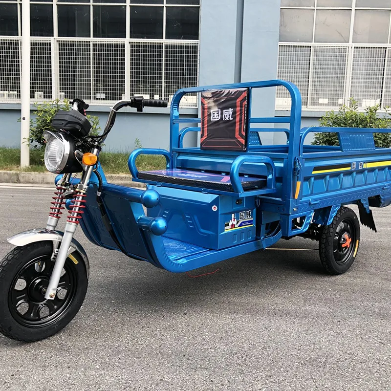 cheap 20A 32A 45A adult heavy duty farm electric cargo tricycle 800w 1000w china for