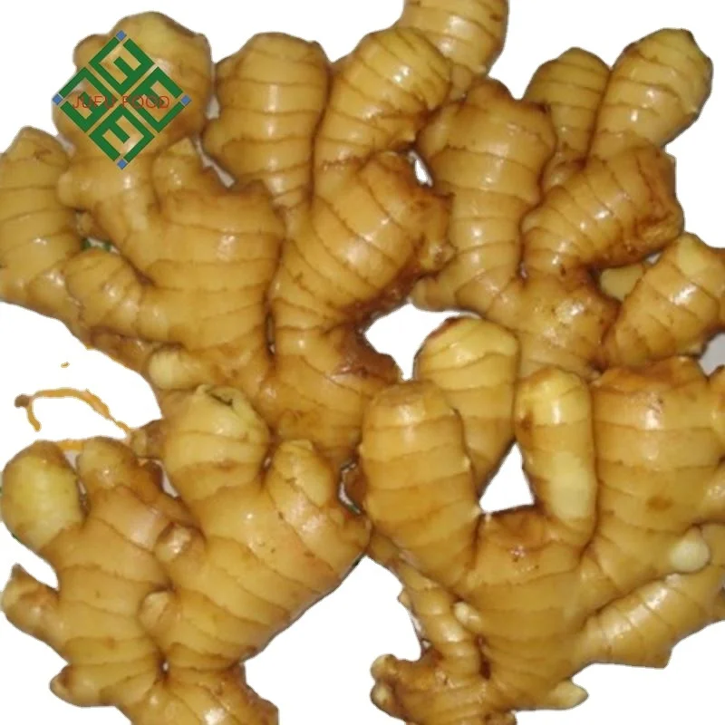 
laiwu fresh ginger supplier /thin ginger / fat ginger 
