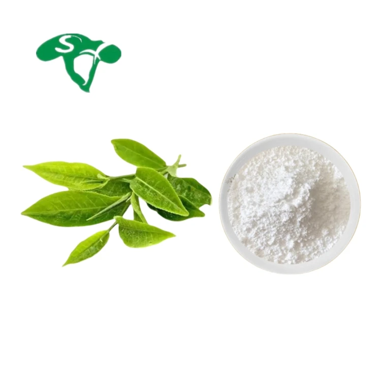 Factory Supply Wholesale Green Tea Extract Epigallocatechin Gallate 98% Egcg Powder