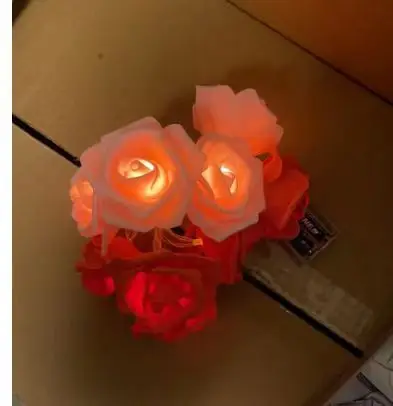 Girl heart pink white rose light string LED Christmas birthday and wedding decoration light string night light