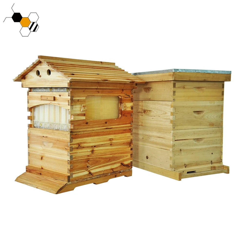 Automatic Wooden Bee Hives House Kit With 7 Pcs Upgraded Auto Frame Comb