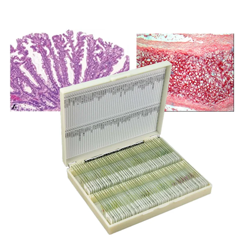 medical science 100pcs  Human  Histology Prepared Slides Set Specimens Microscope Prepared Slides