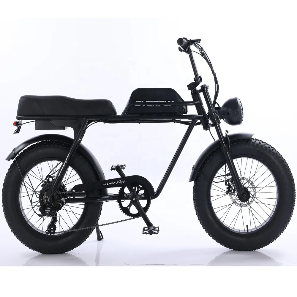 2023 Fat tire electric bicycle (FP-EB23006)