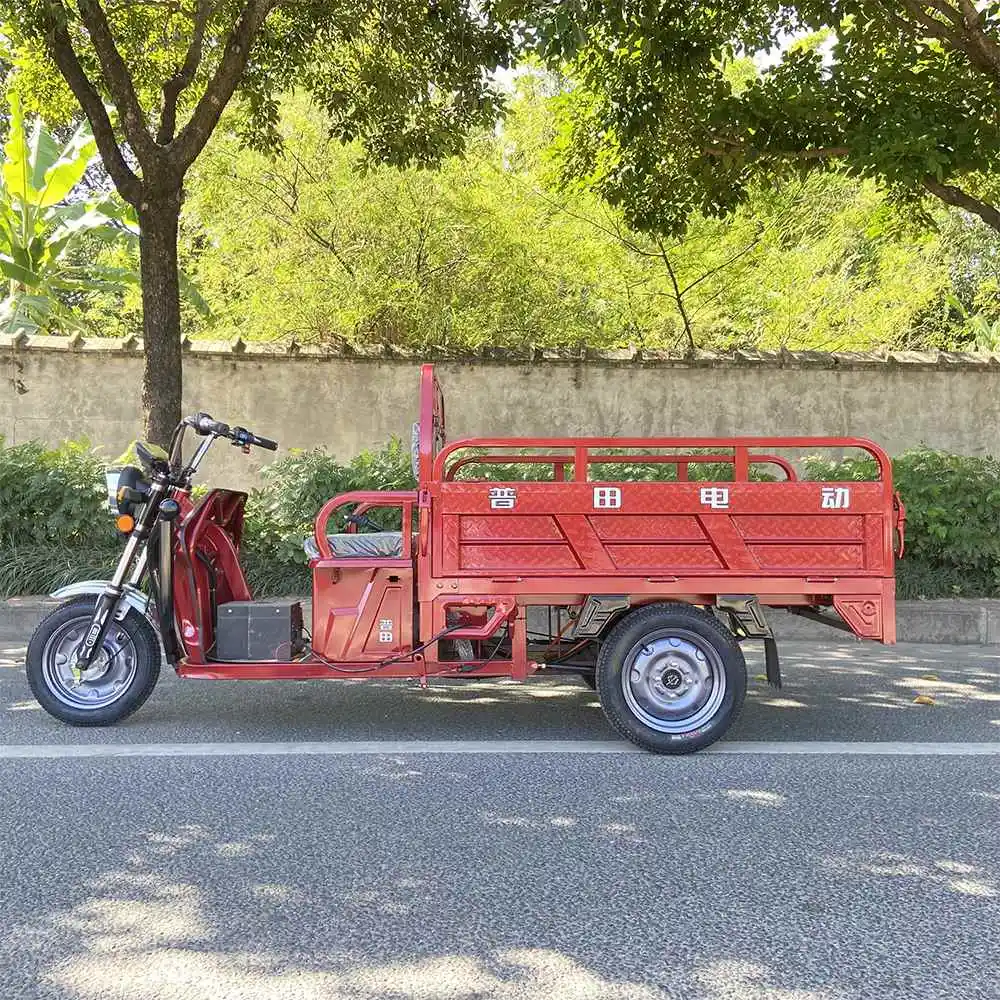 Elegant 90Km Range Auto Rickshaw for City and Countryside Tricycle Bicycle