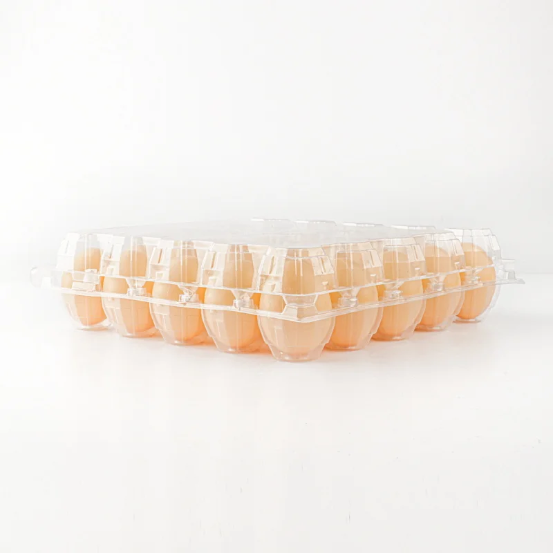 PET quail egg trays paper wholesale factory price 12 egg tray storage and transportation egg plastic tray