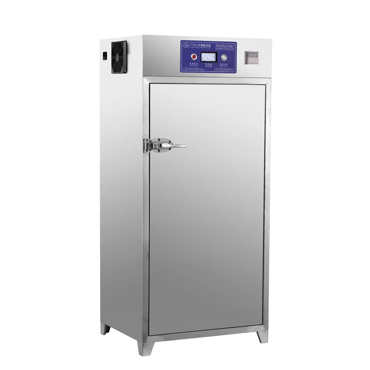XYozone stainless 304 free standing ozone generator  800L 1000L vegetable and fruit food cleaner ozone cabinet