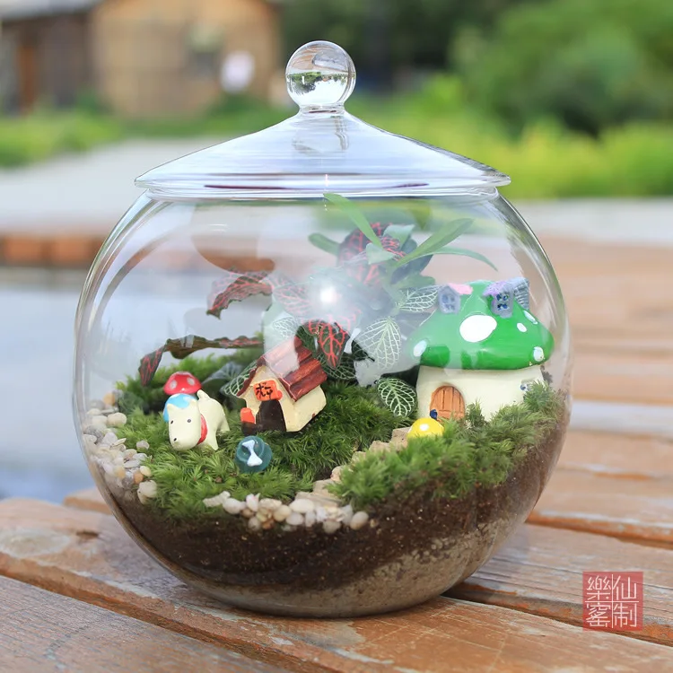 Room Office Decor Fish Jar Terrarium Hydroponics Plants Vase Desktop Glass Crystal Ball Glass with Glass Lid Handmade Christmas