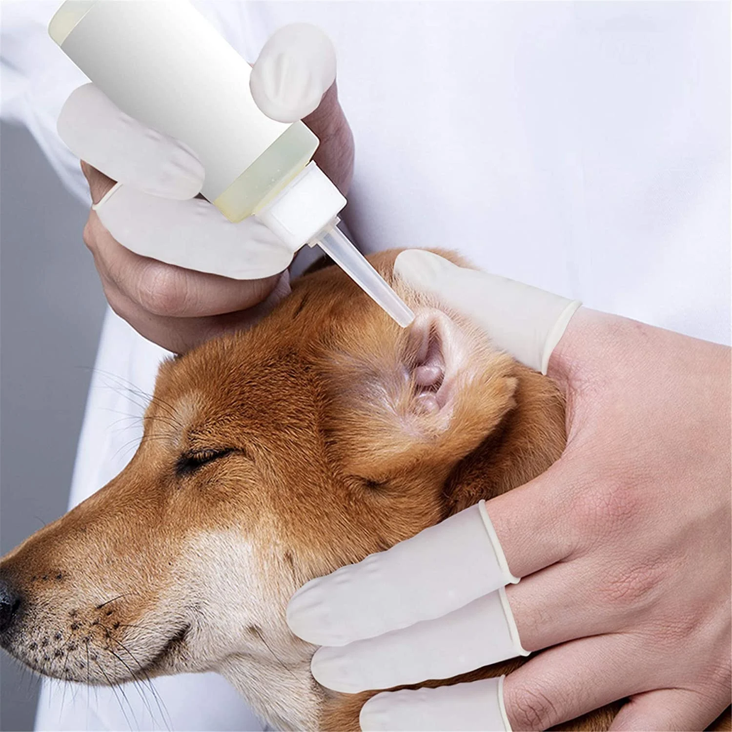 Finger Protector Coverings Latex Cots Small Medium Rubber Finger Condoms For Counting Money