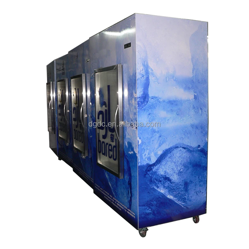 Indoor Upright Glass Display Air Condition Ice Cubes Cooler Bags Ice Box